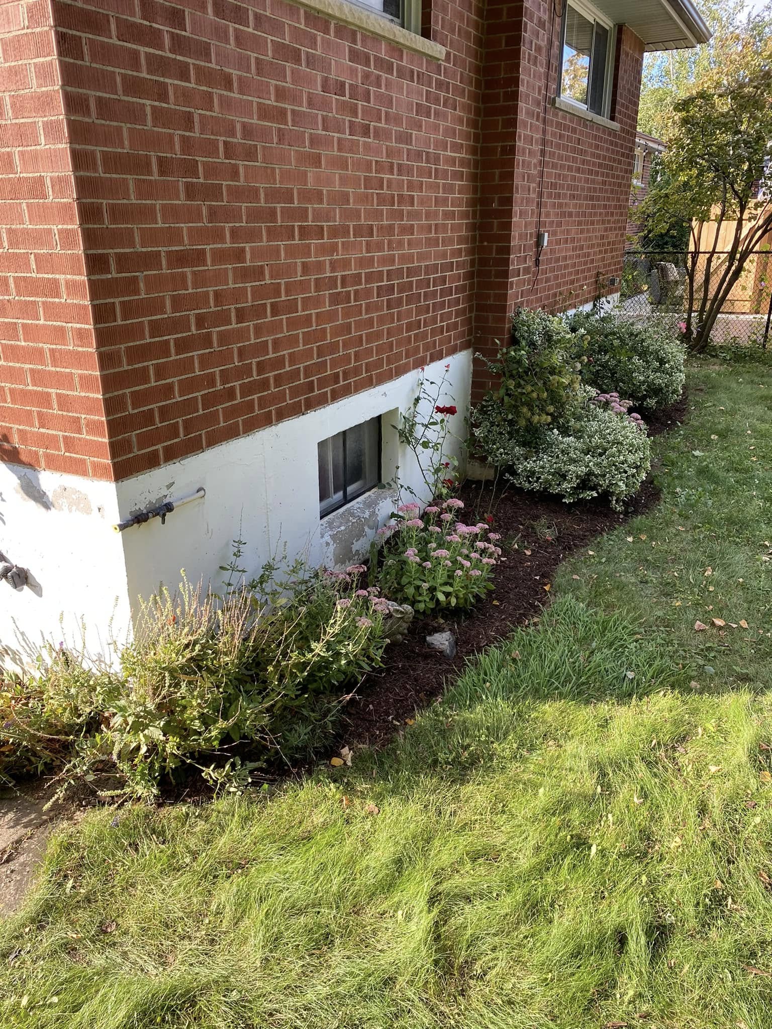 garden redo 1