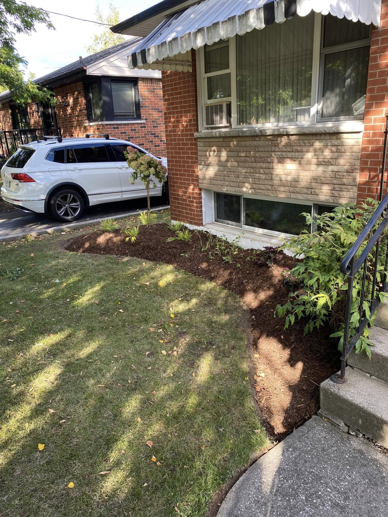 garden redo 3