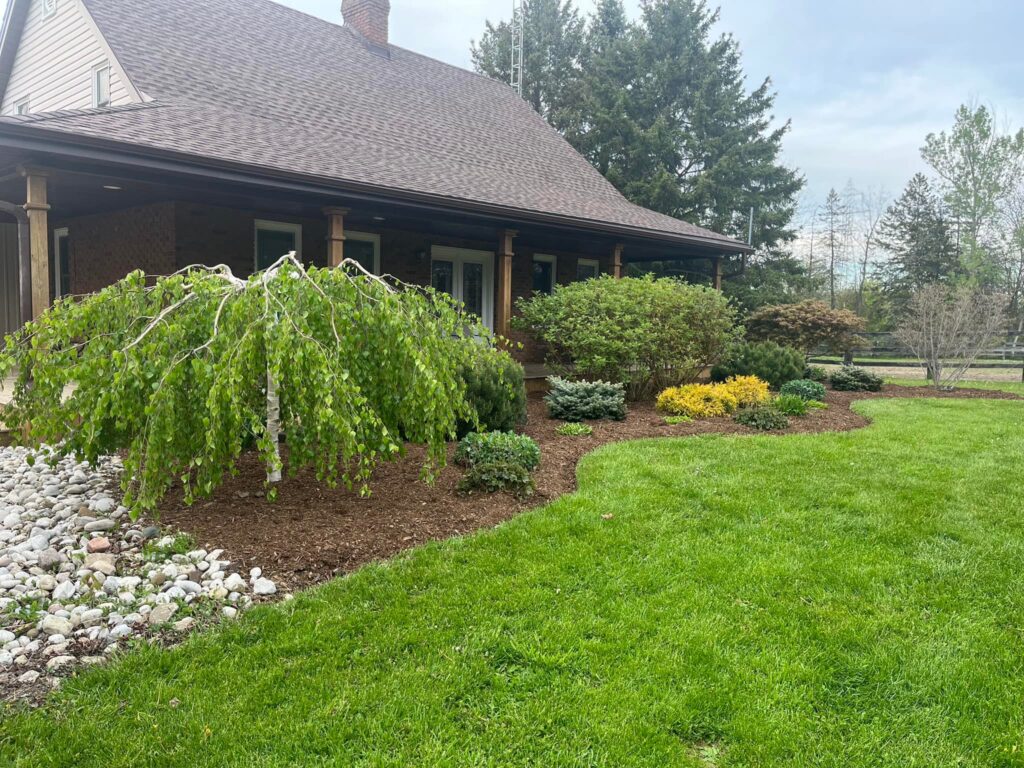 mulch 4