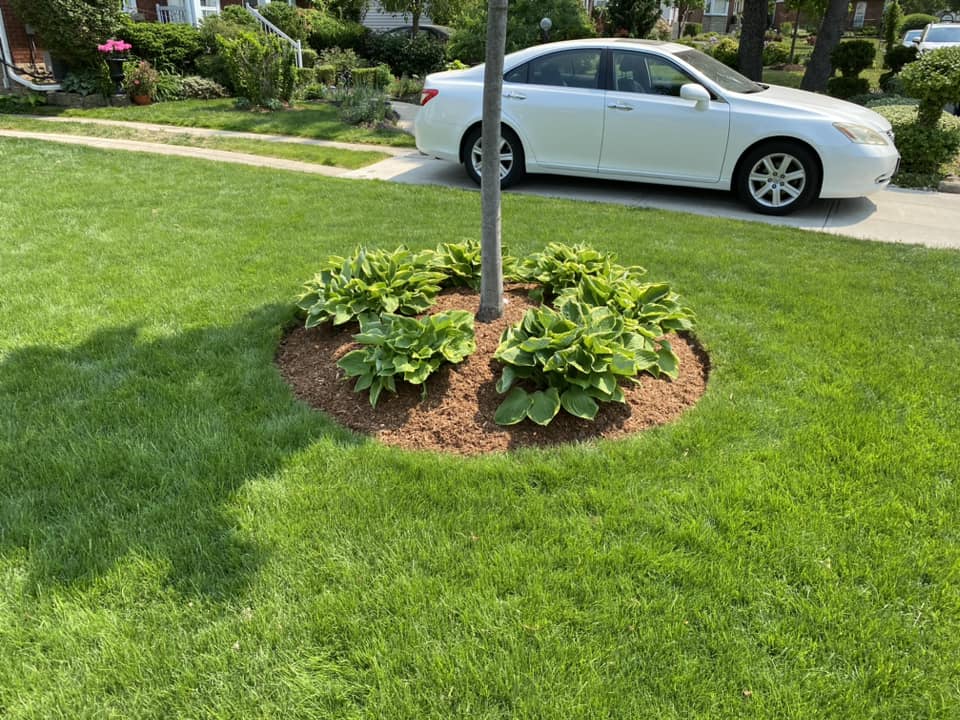 mulching 2